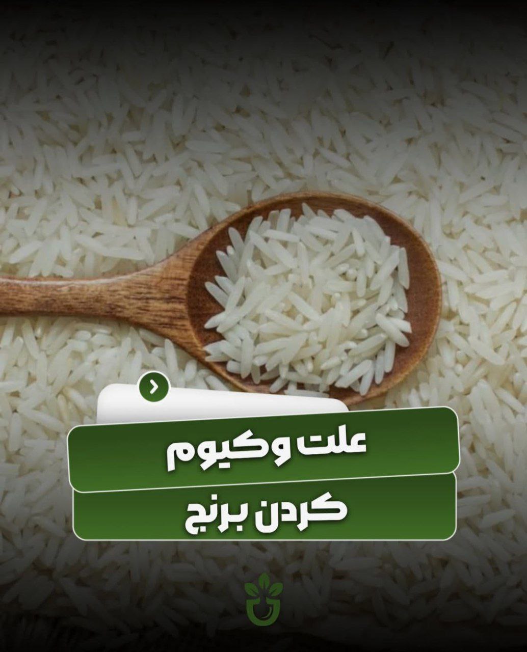 شالیکوبی رستگار - فرآوری و تولید برنج خالص و باکیفیت ایرانی