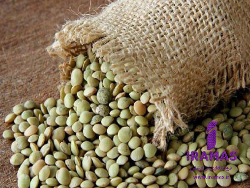 عدس ساسکن کانادا درشت و زودپز و تمیز شده 1 کیلویی - ایراماس